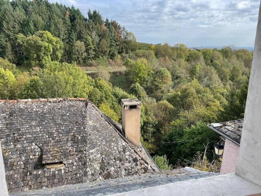 Maison De Village Avec Vue 4/5 Personnes Lou Rouchou Voutezac Extérieur photo